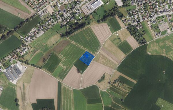 Landbouwgrond te koop in Maaseik